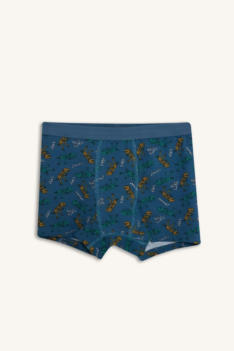 ديفاكتو Boy 3 piece Boxer