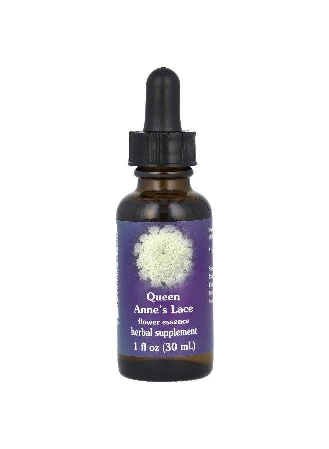 Flower Essence Services, Queen Anne's Lace, Flower Essence, 1 fl oz (30 ml) (Packaging may vary) - Image 1