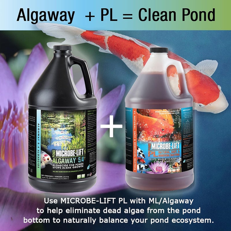 Microbe Lift MICROBE-LIFT Algaway 5.4 Algae Control Treatment for Ponds and Water Gardens - 8 Ounces - Image 5