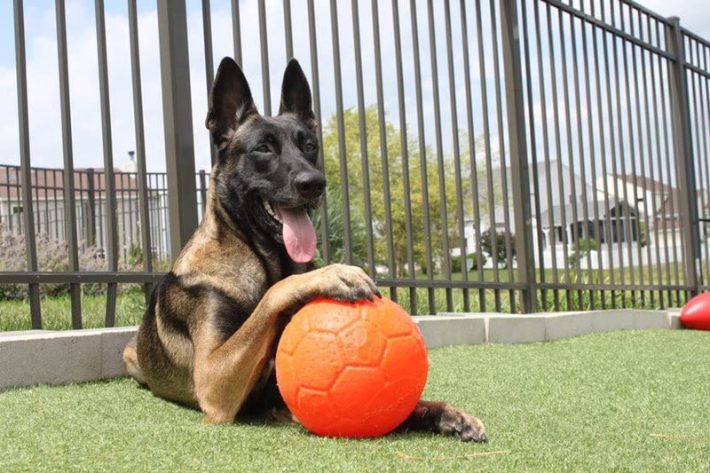 Jolly Pets Large Soccer Ball Floating-Bouncing Dog Toy, 8 inch Diameter, Orange - Image 5