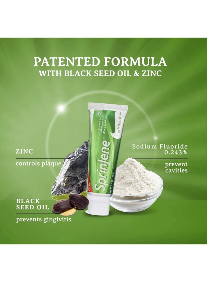 سبرين جين معجون أسنان سبرينجين بالفلورايد وزيت الحبة السوداء والزنك – لتبييض طبيعي، معتمد من ADA، حلال، نباتي وخالٍ من التجارب الحيوانية - Image 3