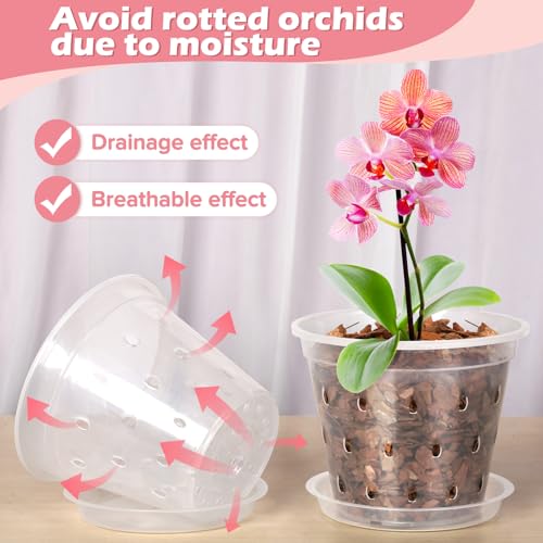 FUIJOL Orchid Pot, 6 Pack 3 Inch Clear Orchid Pots with Holes and Saucers for Repotting, Breathable Slotted Plastic Orchid Planters with Drainage for Root Health Indoor Outdoor (3 Inch) - Image 3