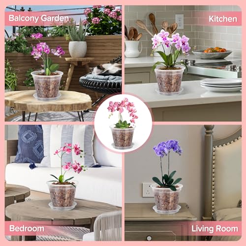 FUIJOL Orchid Pot, 6 Pack 3 Inch Clear Orchid Pots with Holes and Saucers for Repotting, Breathable Slotted Plastic Orchid Planters with Drainage for Root Health Indoor Outdoor (3 Inch) - Image 5