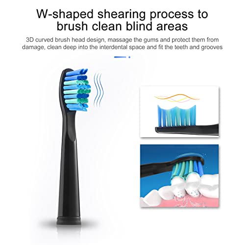 teeteck 5 Pack Electric Toothbrush Replacement Heads Compatible with Fairywill,Toothbrush Heads Compatible with FW-507/508/551/515/917/959/2011,FW-D1/D3/D7/D8 - Image 3