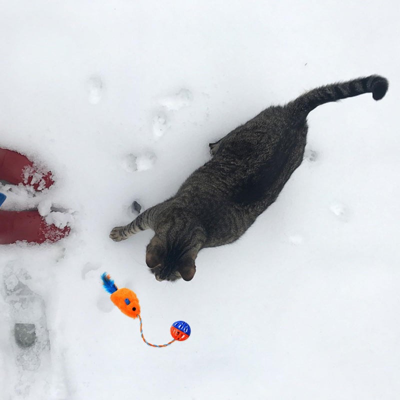 Orange Plush Cat Toy with Bell Bite Resistant Interactive Teaser Ball for Kitten Training Play - Image 5