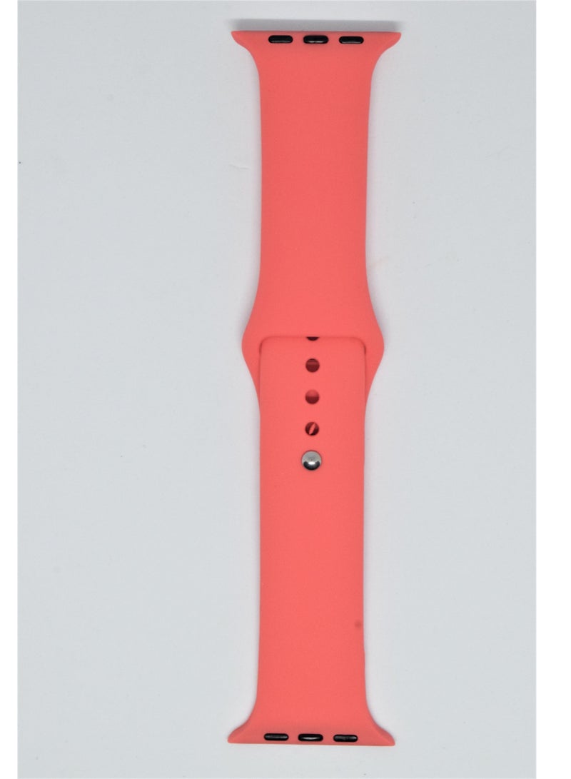 BORTONY Silicone Replacement Watch Band For Apple Series 6/5/4/3 Size 42/44mm - Image 1