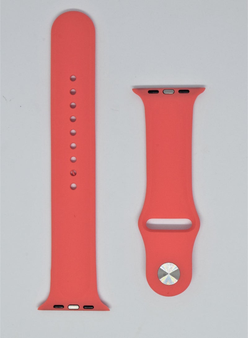 BORTONY Silicone Replacement Watch Band For Apple Series 6/5/4/3 Size 42/44mm - Image 2