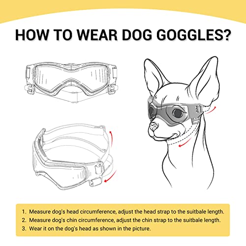 PETLESO Small Breed Dog Goggles, Sunglasses with UV Protection for Outdoor Riding & Driving, Black - Image 3