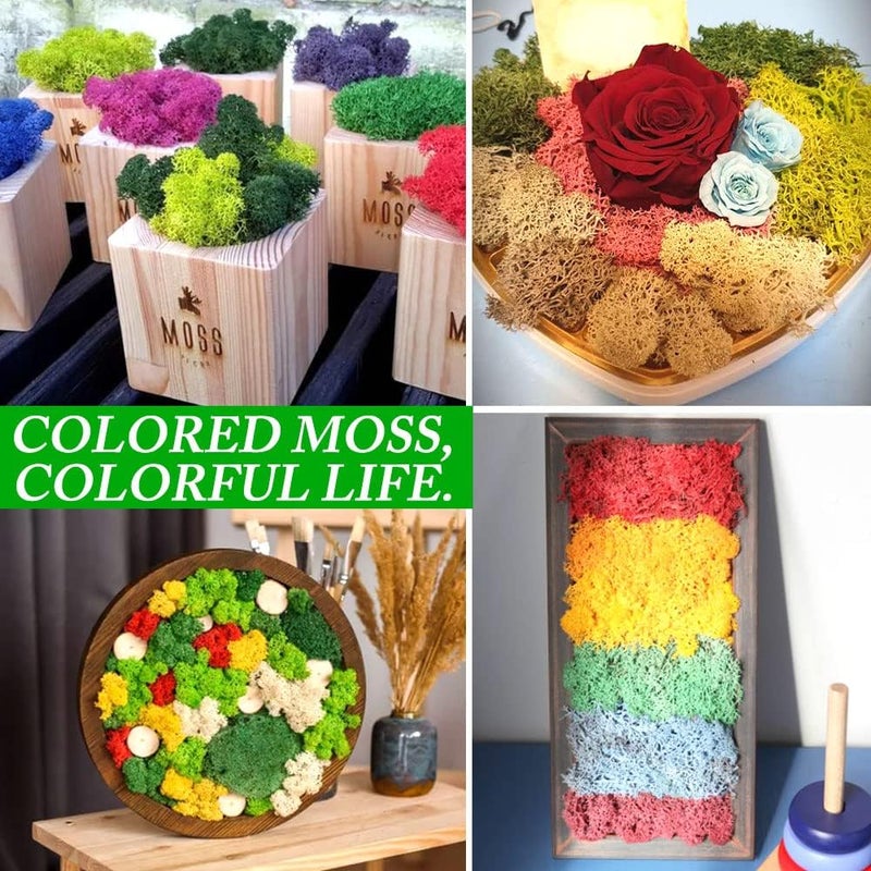 TCYPUHL Preserved Reindeer Moss 17.6 OZ Pink Natural for Crafts, DIY Gift Christmas Decor, Wall Art, Potted Plants, Floral Fake Moss for Easter Table Decor Wedding Decorative(17.6 OZ, Pink) - Image 3