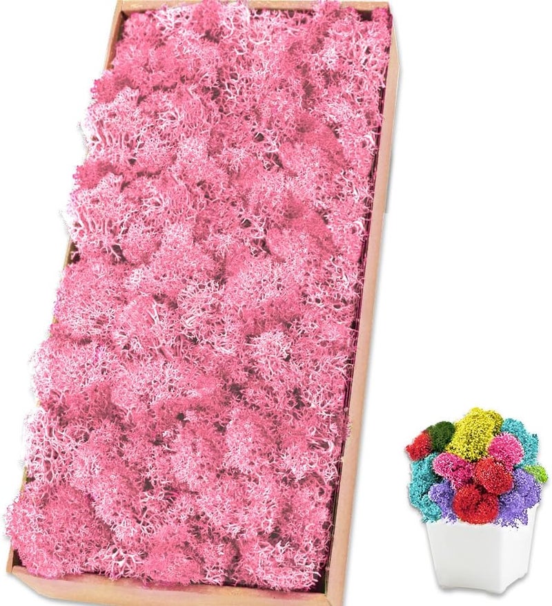TCYPUHL Preserved Reindeer Moss 17.6 OZ Pink Natural for Crafts, DIY Gift Christmas Decor, Wall Art, Potted Plants, Floral Fake Moss for Easter Table Decor Wedding Decorative(17.6 OZ, Pink) - Image 1