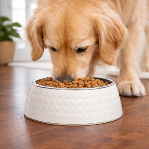 Zigly Lifestyle Pet Food Bowl | Dog Bowl for Medium Dogs & Cats | BPA-Free Melamine Bowl for Dogs with Removable Stainless Steel | Anti-Skid Dog Food Bowl - 400ml, White - Image 3