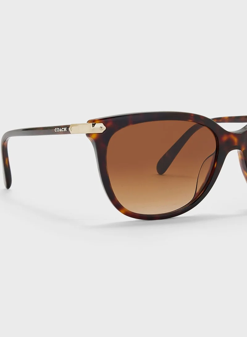 COACH 0Hc8378U Oversized Sunglasses