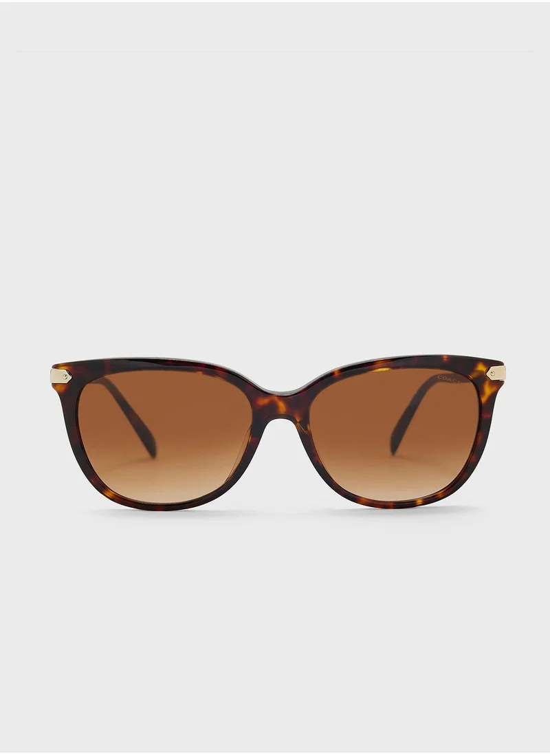 COACH 0Hc8378U Oversized Sunglasses