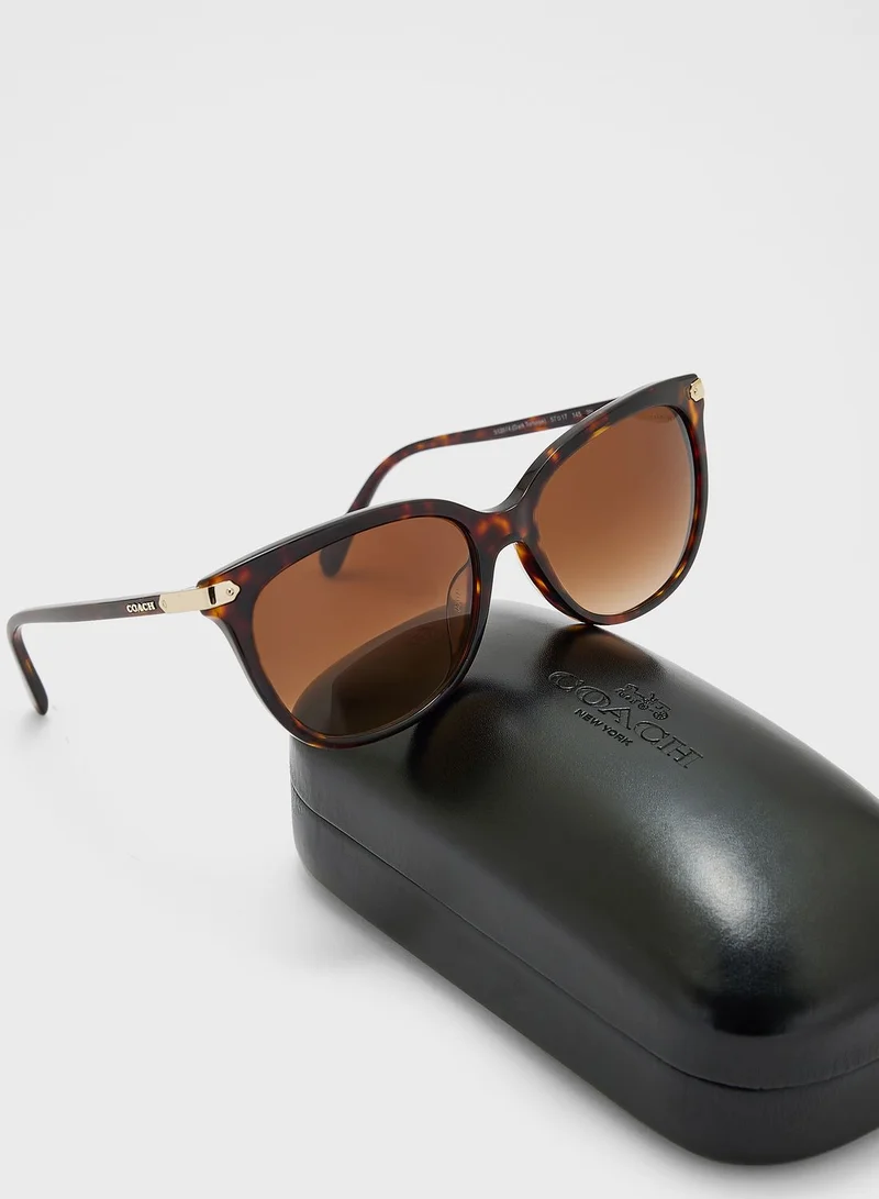 COACH 0Hc8378U Oversized Sunglasses