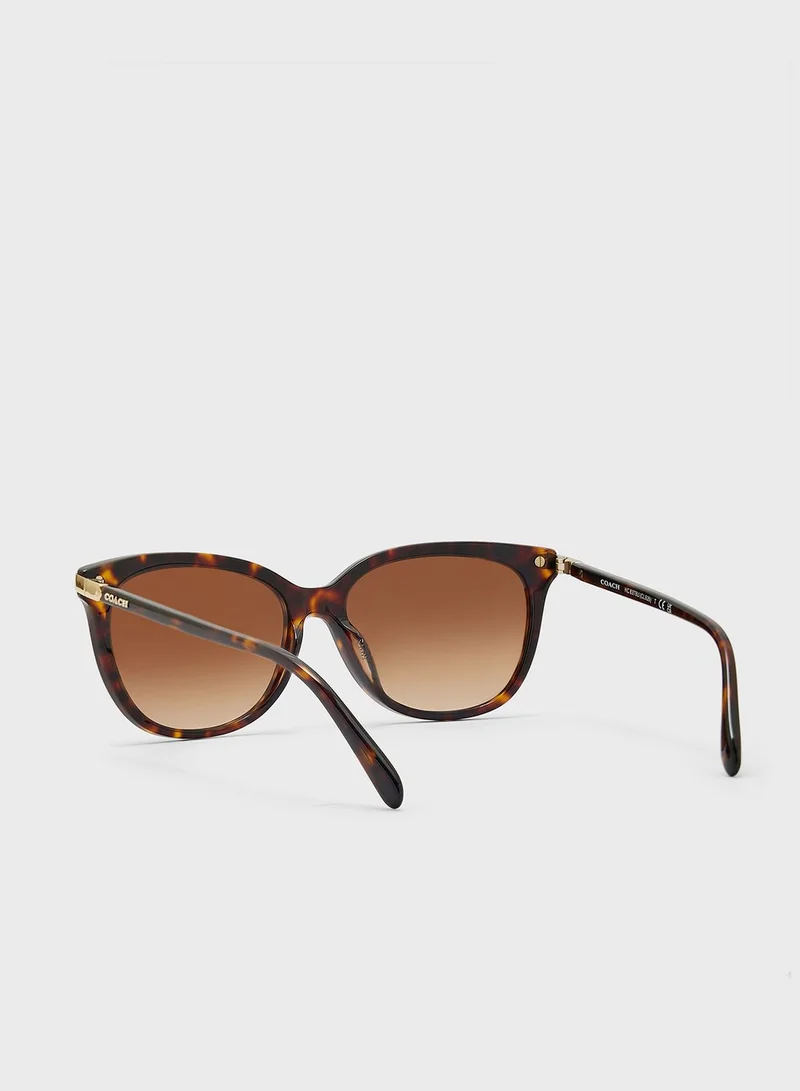 COACH 0Hc8378U Oversized Sunglasses