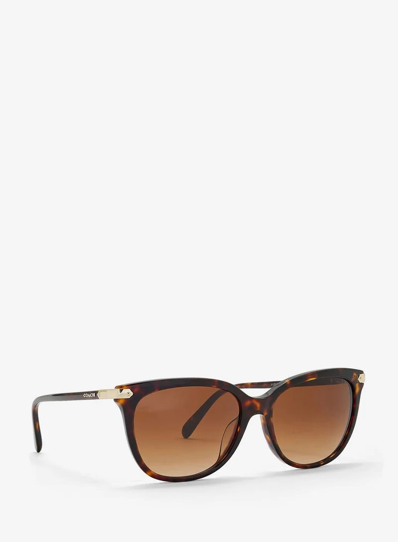 Coach 0Hc8378U Oversized Sunglasses