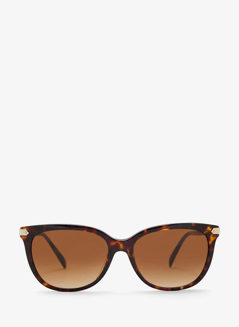 Coach 0Hc8378U Oversized Sunglasses