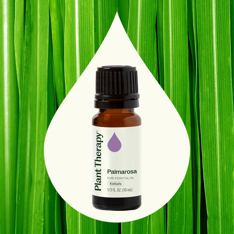 Plant Therapy Palmarosa Essential Oil 100% Pure, Undiluted, Natural Aromatherapy, Therapeutic Grade 10 mL (1/3 oz) - Image 3