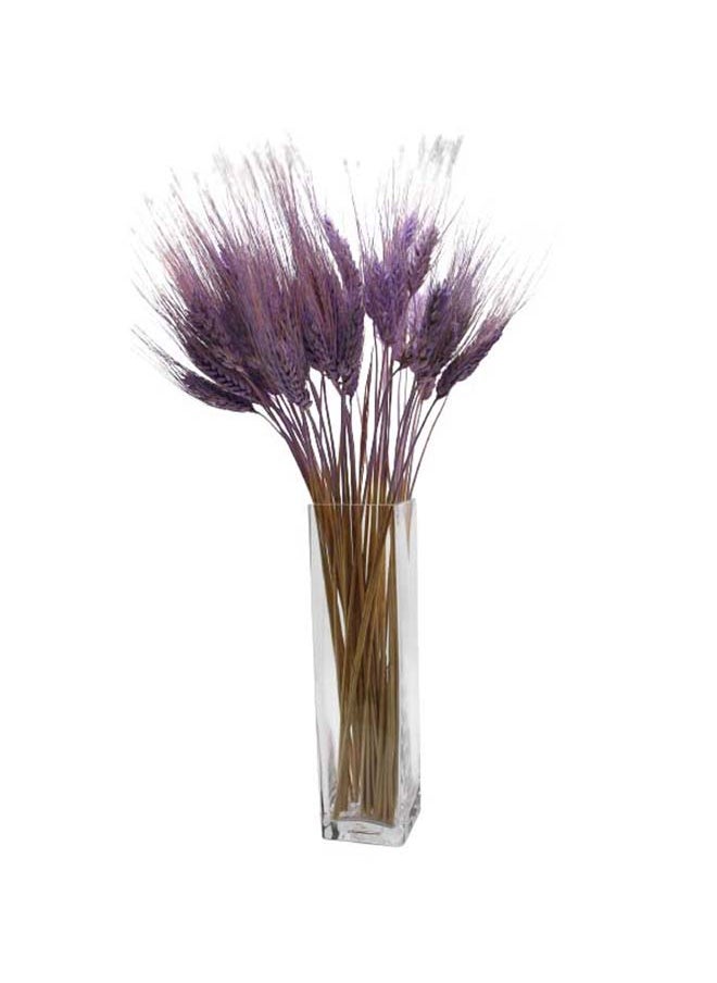 Fancy Fancy Dried Wheat Grass Bouquet Natural Dried Flower  LAVENDER  - Image 1