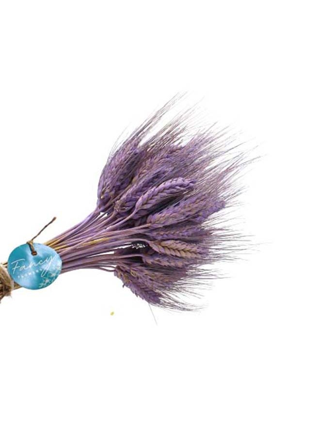Fancy Fancy Dried Wheat Grass Bouquet Natural Dried Flower  LAVENDER  - Image 2