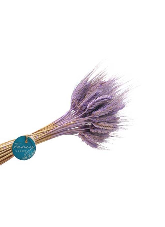 Fancy Fancy Dried Wheat Grass Bouquet Natural Dried Flower  LAVENDER  - Image 3