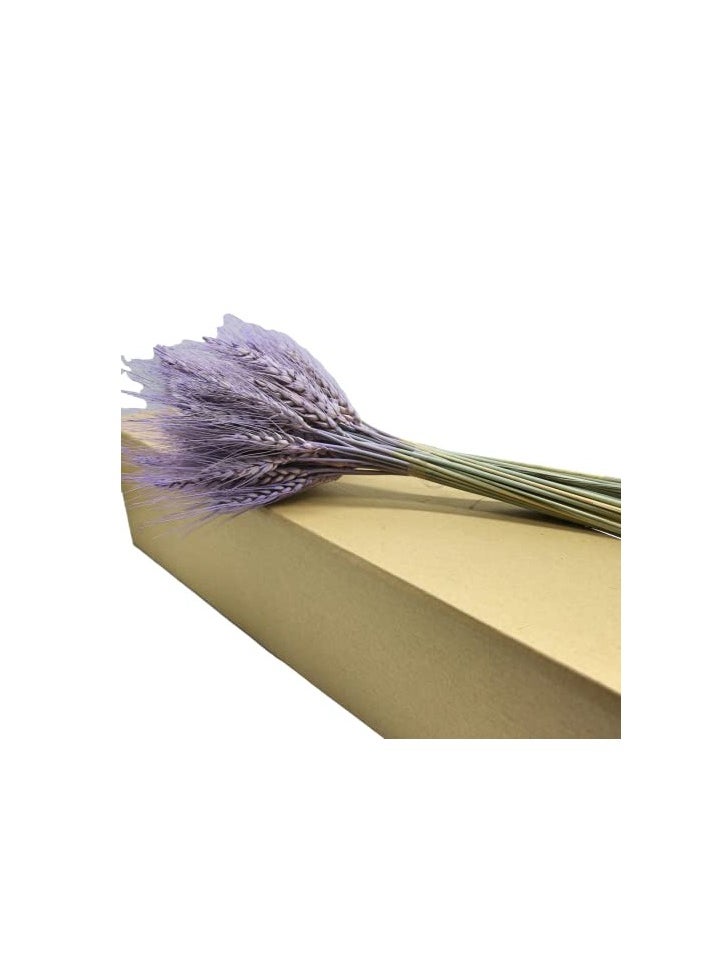 Fancy Fancy Dried Wheat Grass Bouquet Natural Dried Flower  LAVENDER  - Image 4