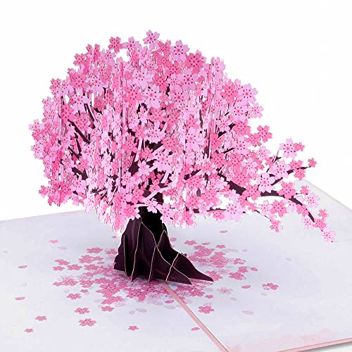 Paper Love 3D Cherry Blossom Pop Up Card, Gift for Birthday, Wedding, Anniversary, Thank You, Get Well, All Occasion or Just Because - 5" x 7" Cover - Includes Envelope and Note Tag - Image 1