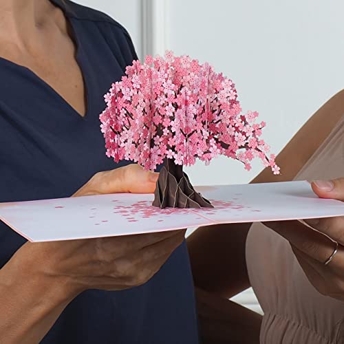 Paper Love 3D Cherry Blossom Pop Up Card, Gift for Birthday, Wedding, Anniversary, Thank You, Get Well, All Occasion or Just Because - 5" x 7" Cover - Includes Envelope and Note Tag - Image 4
