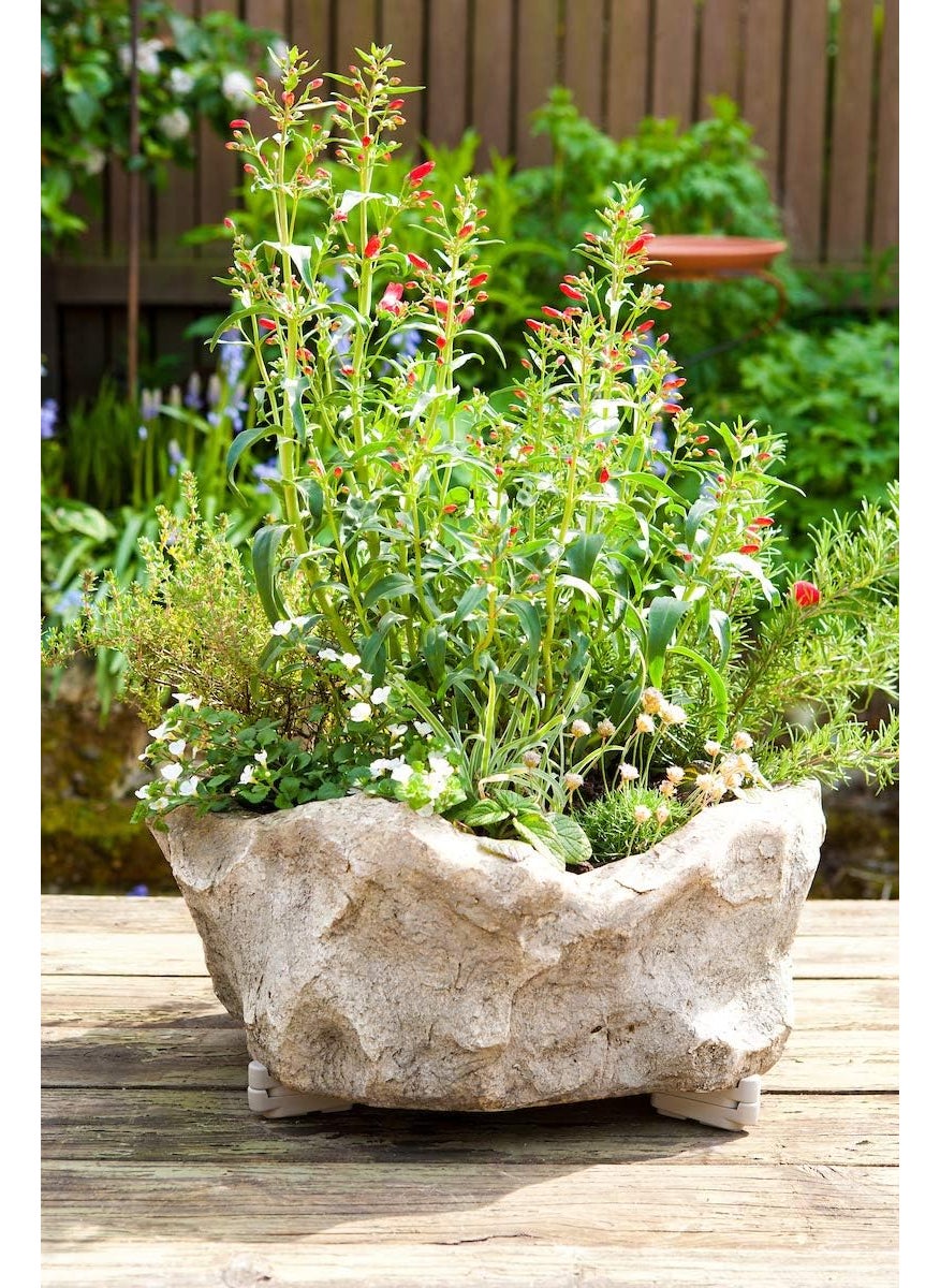 Bosmere Bosmere Pot Toes Plant Pot Risers for Indoor and Outdoor Prevent Stains and Rotting on Wood Cement and Tile  Dark Gray Pack of 12  - Image 4