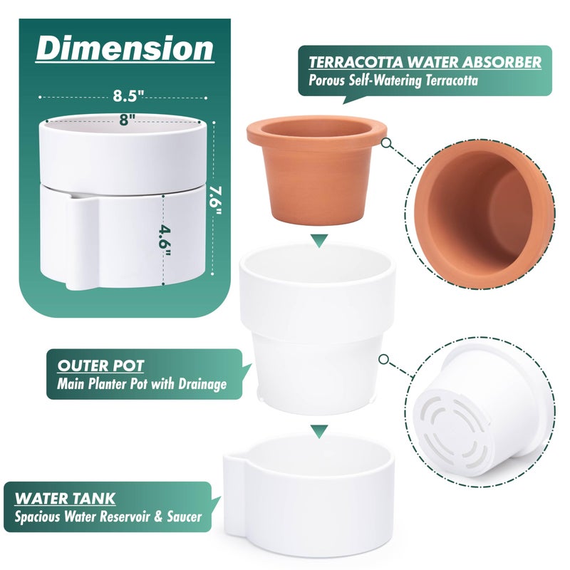 Phoenix Vine 8 Inch Self-Watering Planter Pot with Terracotta Insert, Deep Water Reservoir, and Ceramic-Alike BPA-Free Plastic Planter Pot for Plant, Modern Planter for Houseplants, White, 53-A-T-1 - Image 4