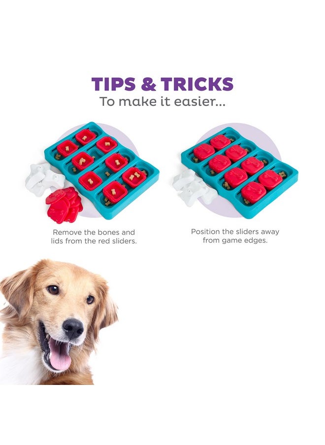 Nina Ottosson Dog Brick Dog Puzzle Interactive Treat Puzzle Dog Enrichment Dog Toy, Level 2 Intermediate, Blue - pzsku/ZF3AD2A9A18D0152F32ECZ/45/_/1726222235/c104c23f-cc40-4b30-aceb-93a36b8dfd70