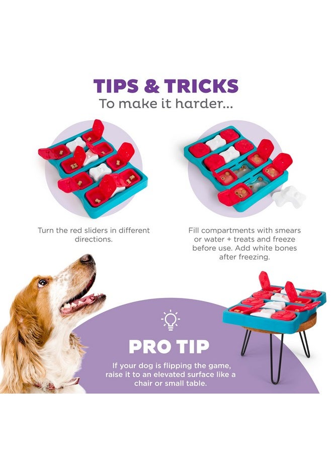 Nina Ottosson Dog Brick Dog Puzzle Interactive Treat Puzzle Dog Enrichment Dog Toy, Level 2 Intermediate, Blue - pzsku/ZF3AD2A9A18D0152F32ECZ/45/_/1726222237/7a8c3276-44b6-4eea-b0b5-d5428285f90e