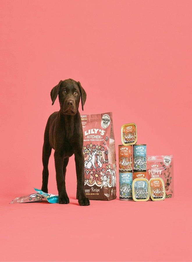 Lily's Kitchen baycheers Lily's Kitchen Puppy Recipe Chicken & Salmon Natural Grain Free Complete Dry Dog Food 1 kg - Image 4