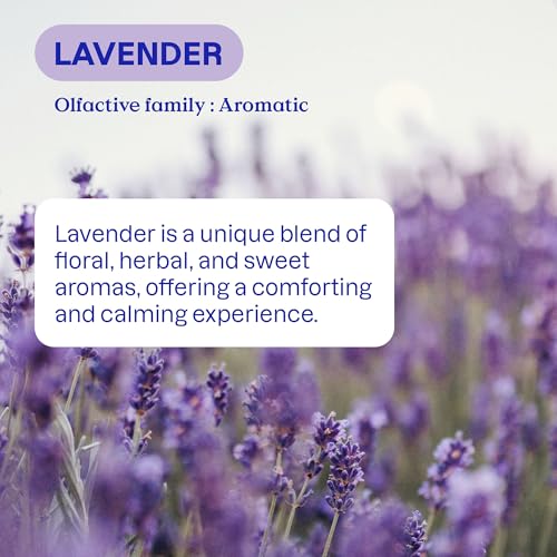 ATTITUDE Liquid Laundry Detergent, EWG Verified, HE Compatible, Plant-Based & Vegan, Natural Laundry Soap, Lavender Scent, 40 Loads, 67.6 Fl Oz - Image 4