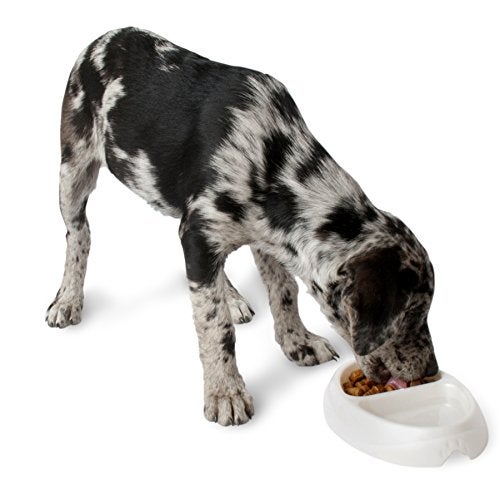 Doskocil Petmate 23174 Double Diner Pet Dish, Small - Image 2