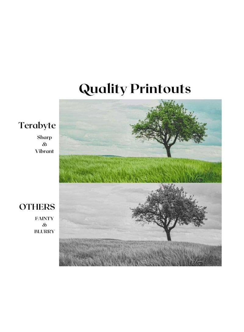 Terabyte TK715 KYOCERA COMPAIBLE TONER TERABYTE - Image 3