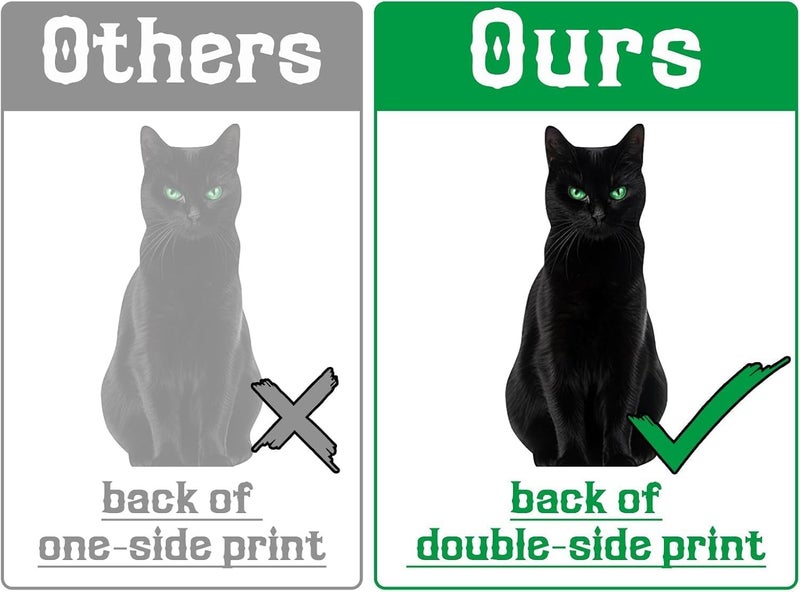 ChicAbode Halloween Decorations Window Clings: 4 Large Realistic Black Cats Halloween Window Stickers Spiderweb Bats Silhouette Window Decals Indoor School Home Office Party Decor for Glass Windows, 6 Sheets - Image 4