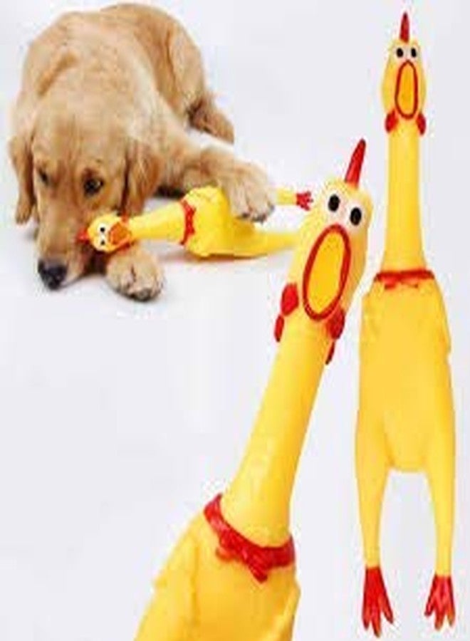 PETLICIOUS & MORE لعبة دجاجة تصرخ بالضغط من بيتليشوس آند مور، لعبة خنزير تصرخ مصنوعة من المطاط بطول 16 بوصة (قد يختلف اللون، عبوة من قطعتين) - Image 4