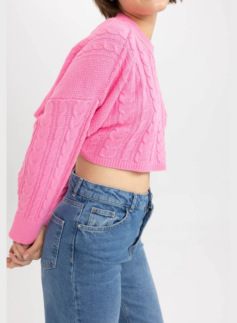 DeFacto Regular Fit Crew Neck Sweater