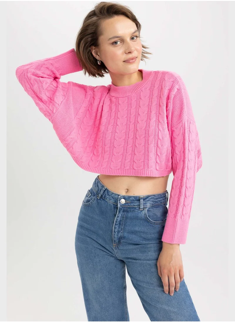 DeFacto Regular Fit Crew Neck Sweater