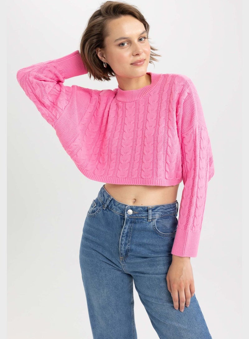 DeFacto Regular Fit Crew Neck Sweater - Image 1