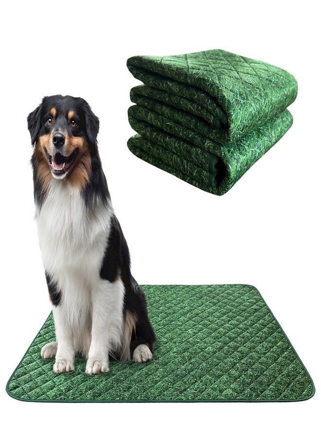 paw-lyfe PawLyfe Reusable Pee Pads for Dogs - 2 Pack, 30" x 36" Washable Puppy Pads with Grass Print - Waterproof Dog Training Pee Mats - Non-Slip - Large Pet Pads for Indoors - Quilted Whelping Pads for Home - Image 1