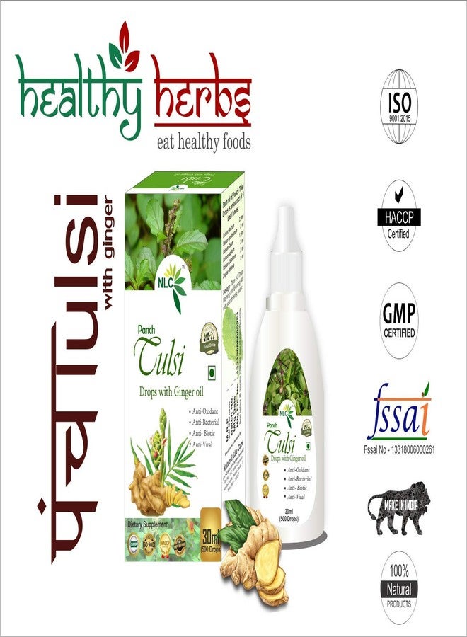 Healthy Herbs قطرات بانش تولسي مع الزنجبيل 30 مل (أفضل معزز للمناعة) - Image 2