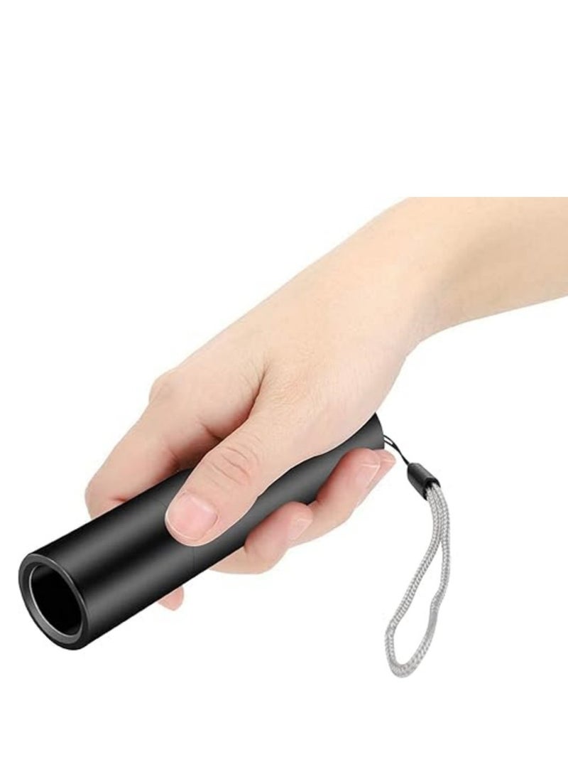 NIBEMINENT - UV 365nm Flashlight Fluorescent Detection Lamp Ringworm Lamp - Image 1