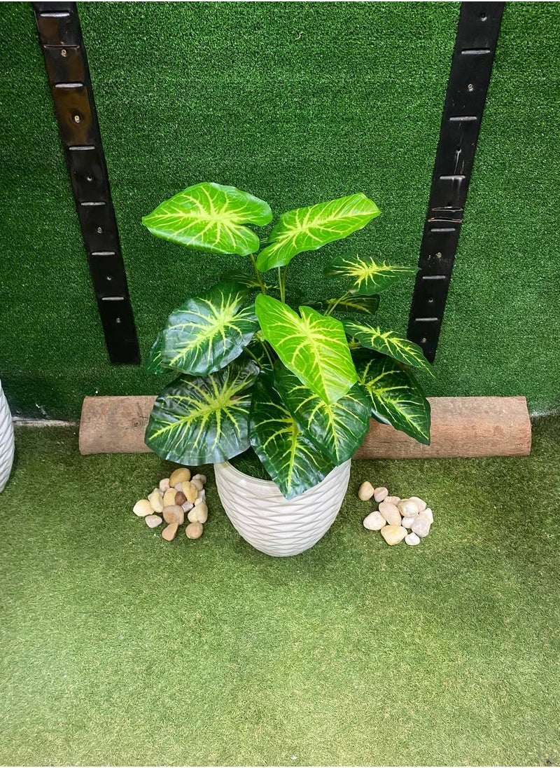 Generic Artificial pothos tree 