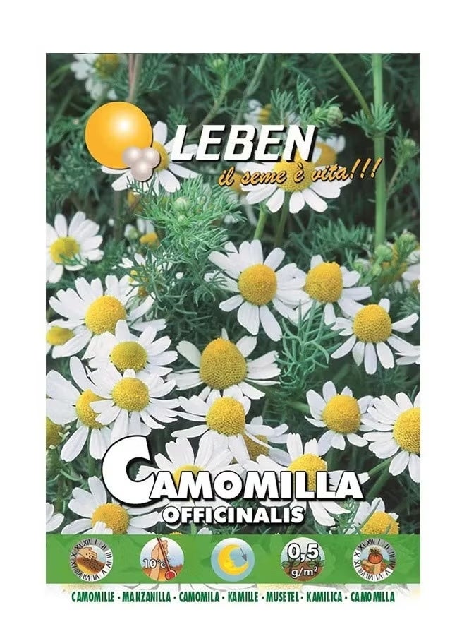 بذور البابونج عالية الجودة مصنوعة في إيطاليا