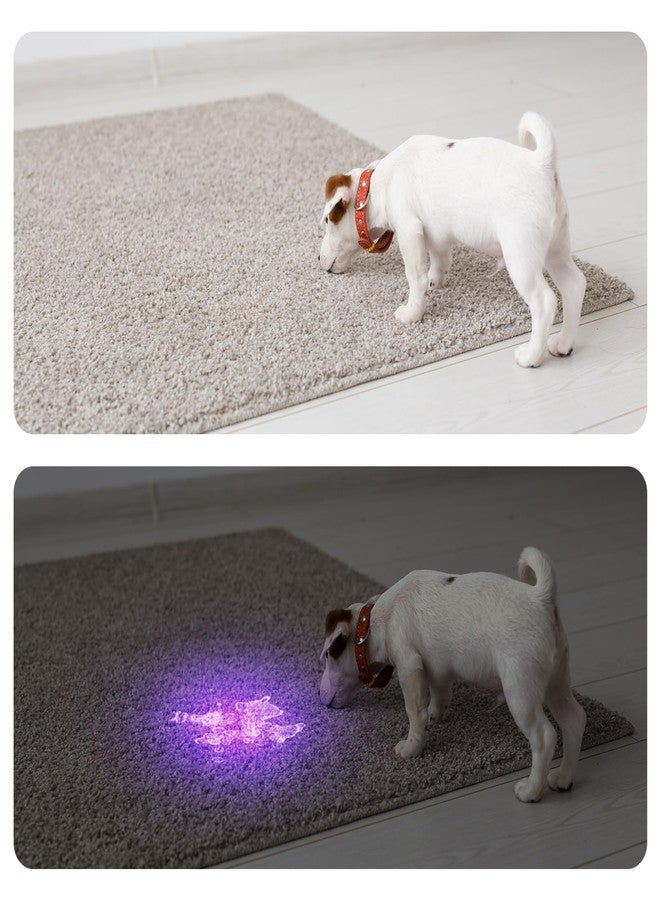COSOOS Black Light UV Flashlight, 21 LED Handheld UV Light, 395nm Mini Blacklight Flashlight, Portable Pet Urine Detector for Dog Cat Urine Stains, Bed Bugs, Scorpion, Resin Curing, Nails - Image 4
