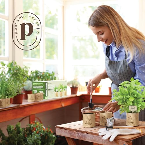 Planters' Choice 9 Herb Indoor Window Garden Kit - House Plants Seeds - Best Unique Christmas Gift Ideas for Women, Mom, Friend, Her, Birthday, Housewarming, Mother - New Home Kitchen Gifts - Image 3