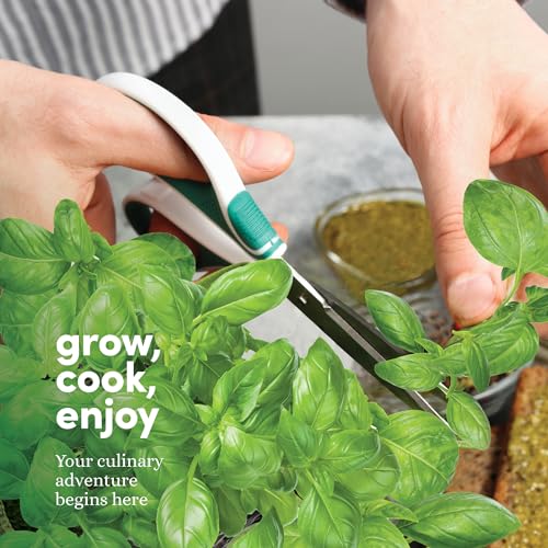 Planters' Choice 9 Herb Indoor Window Garden Kit - House Plants Seeds - Best Unique Christmas Gift Ideas for Women, Mom, Friend, Her, Birthday, Housewarming, Mother - New Home Kitchen Gifts - Image 5