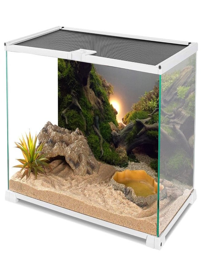 AWERT River Bed & Lake Aquarium Background Sunshine Aquatic Plant Fish Tank Background Vinyl 48x20 inches - Image 3